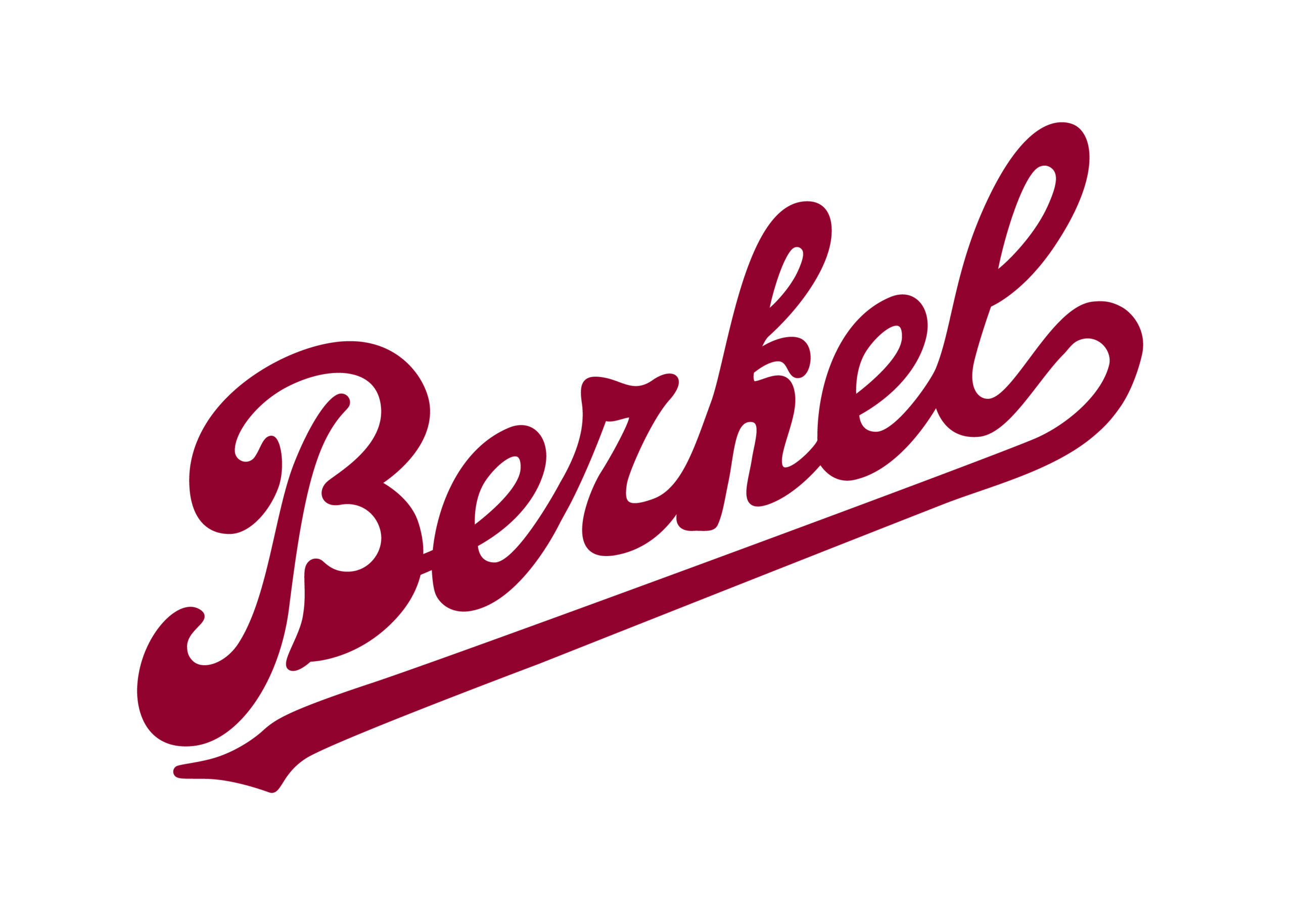 Berkel Home Line 250 Schneidebrett Unikat – für perfekte